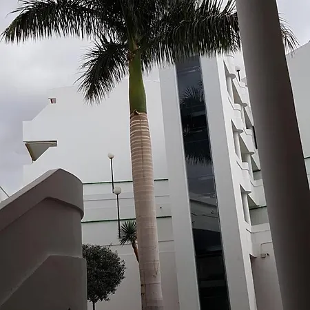 Island Village & Bo أذيخي